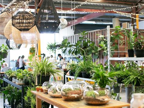 8 of the best things to do in Stafford, Queensland.